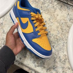 nike dunk low retro size 8/5 in men