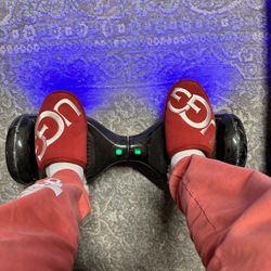 DashBoard Hands-Free Electric Power Scooter / Segway / Personal Transportation