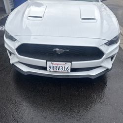  2022 Ford Mustang 