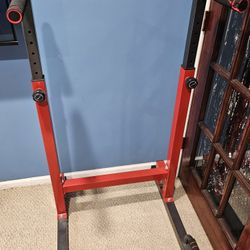 Push Up And DIP Bar