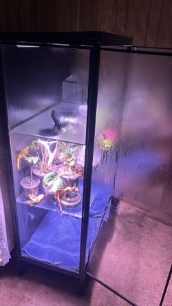 Plant Shelf With Plants And Lights Everything You See