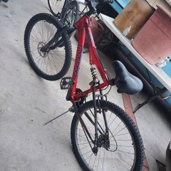 Mongoose Mountain Bike 