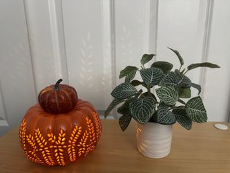 Fall decor: pumpkin, light, and plant, all for $10