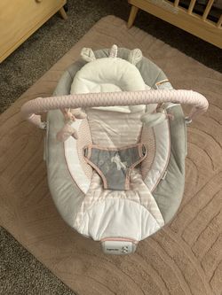Baby Bouncer
