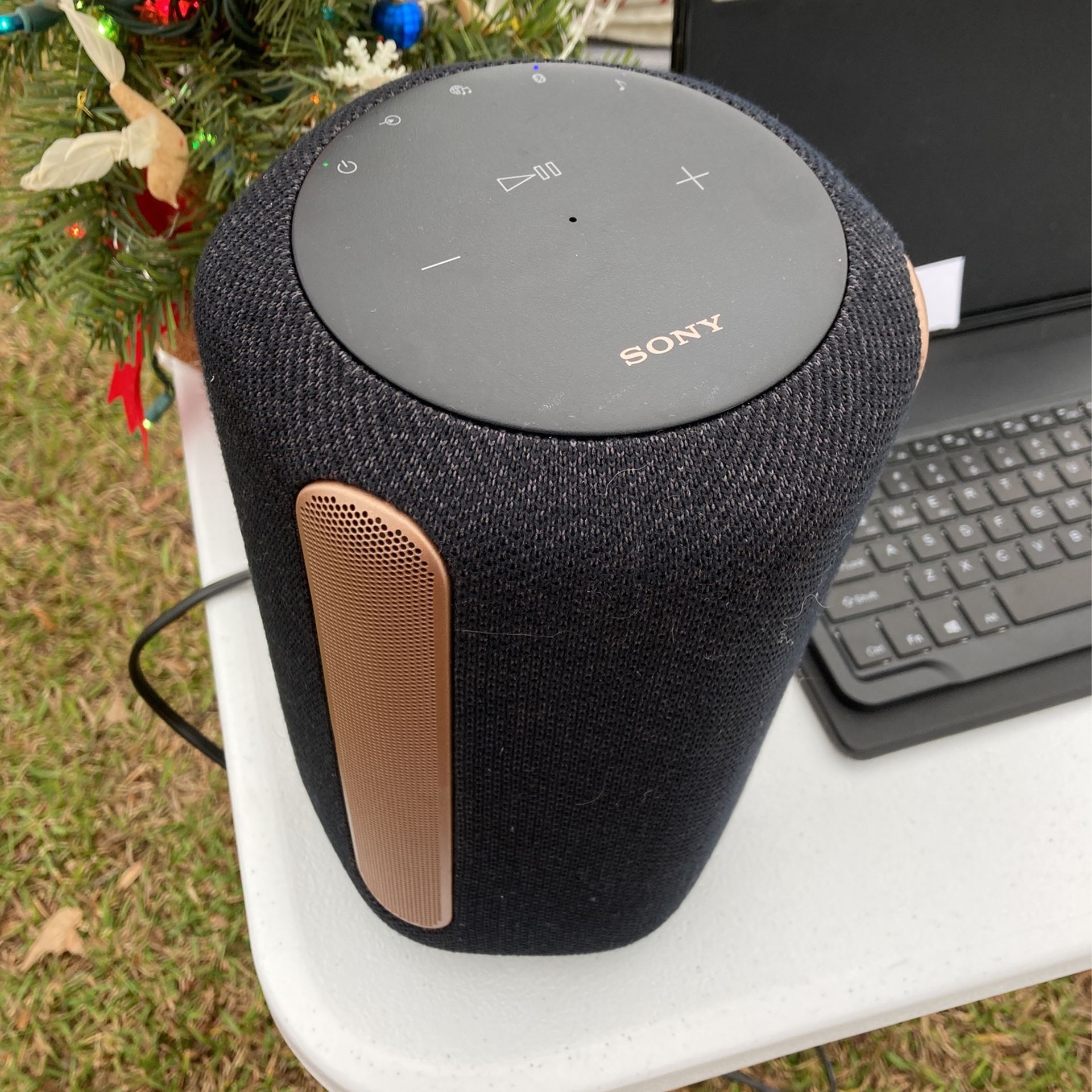 Sony Speaker