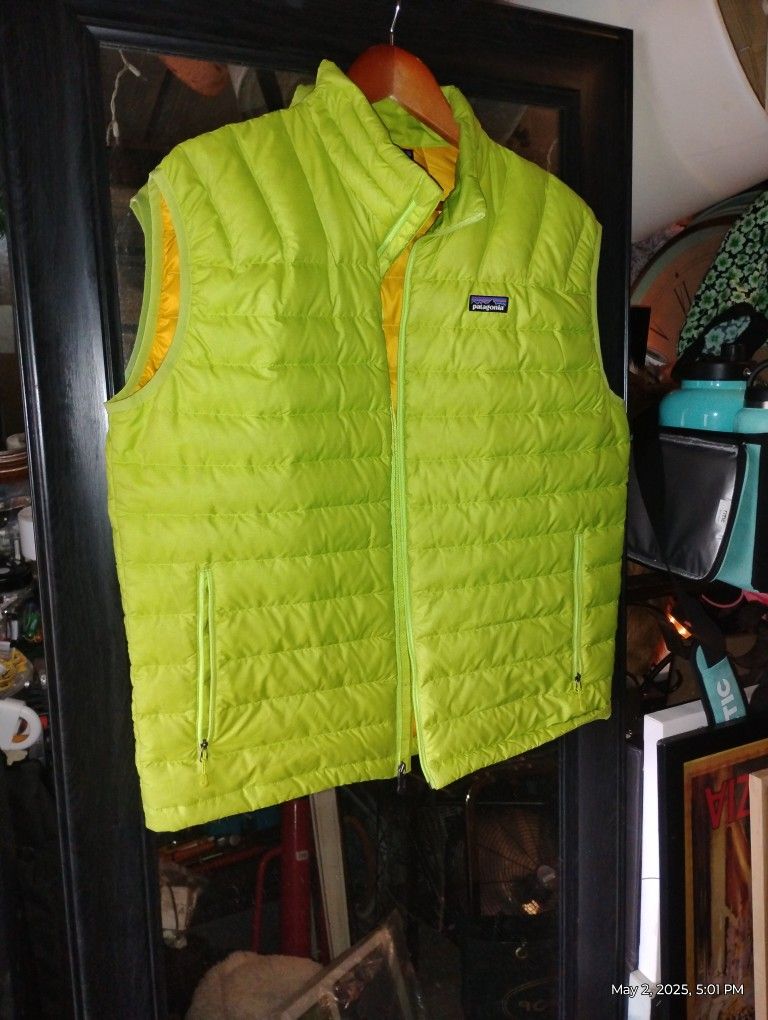 Patagonia Down Vest