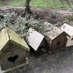 Free bird houses 