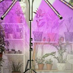 Plant Grow Light
