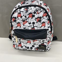 Mickey Mouse back pack. Item No 544 (Shopgoodwill)