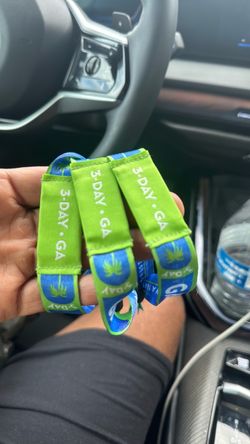 Ohana festival Sunday