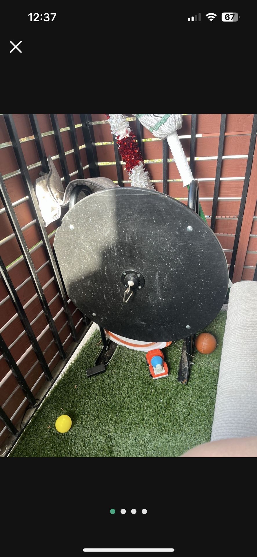 Everlast Speed Bag (Punching Bag)