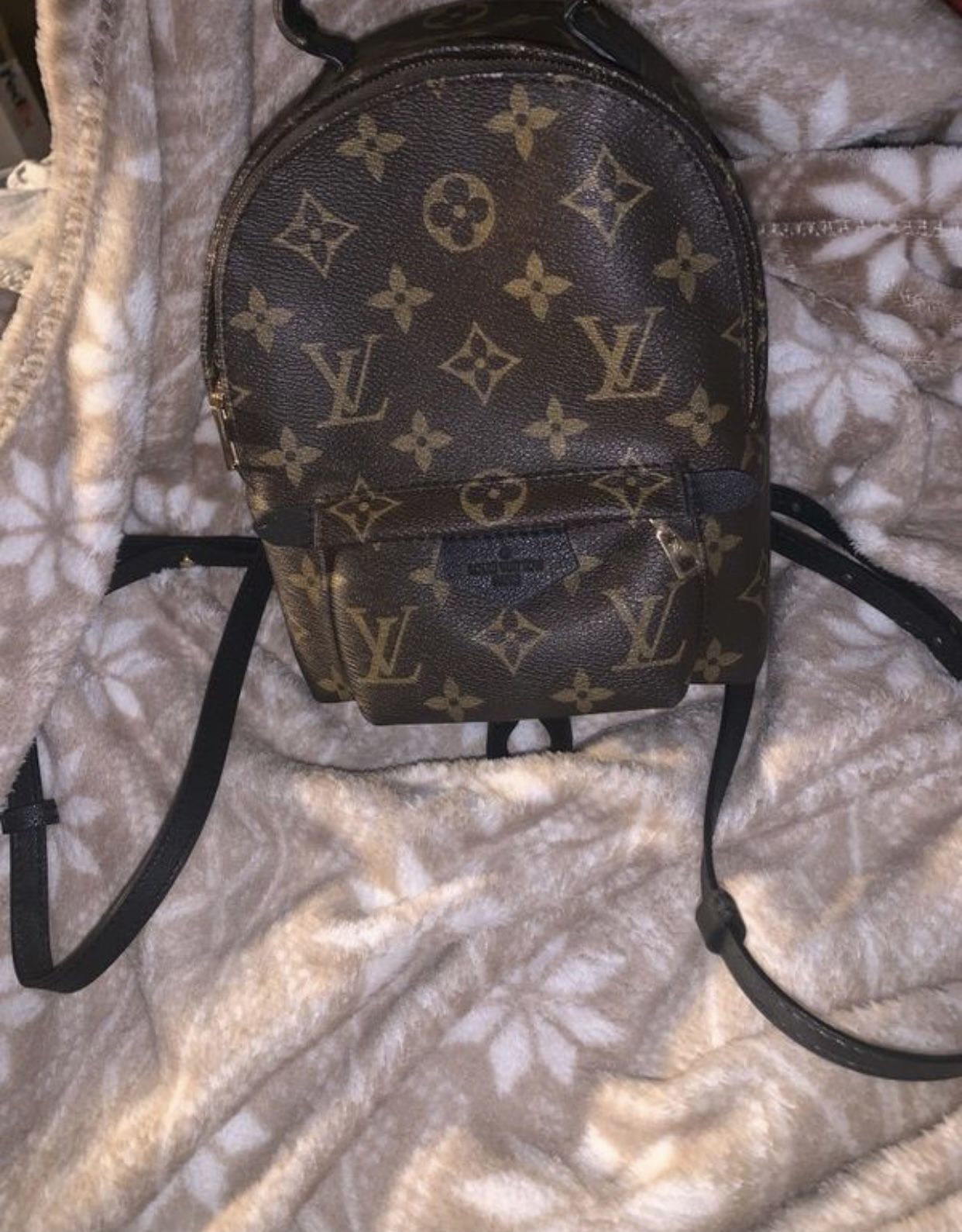 Louis Vuitton Palm Springs bag