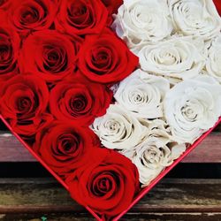 Roses