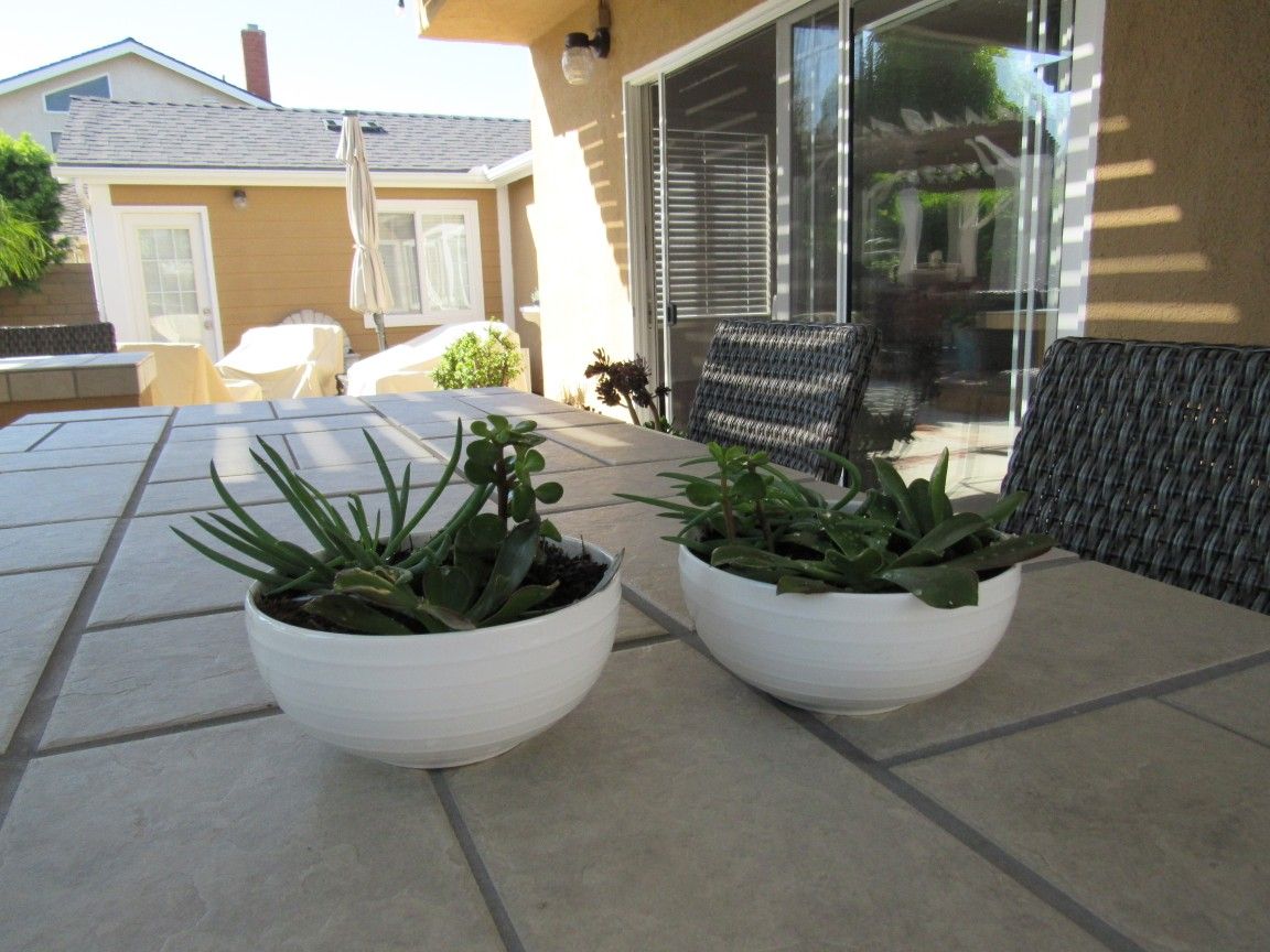 Pair Of White Stripe Print Garden Pots With Succulents