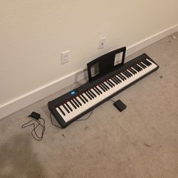 88 Key Weighted Key Electric Piano