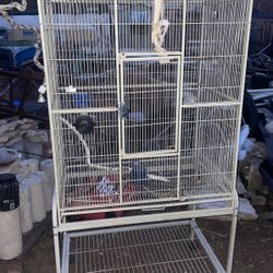 Bird Cage