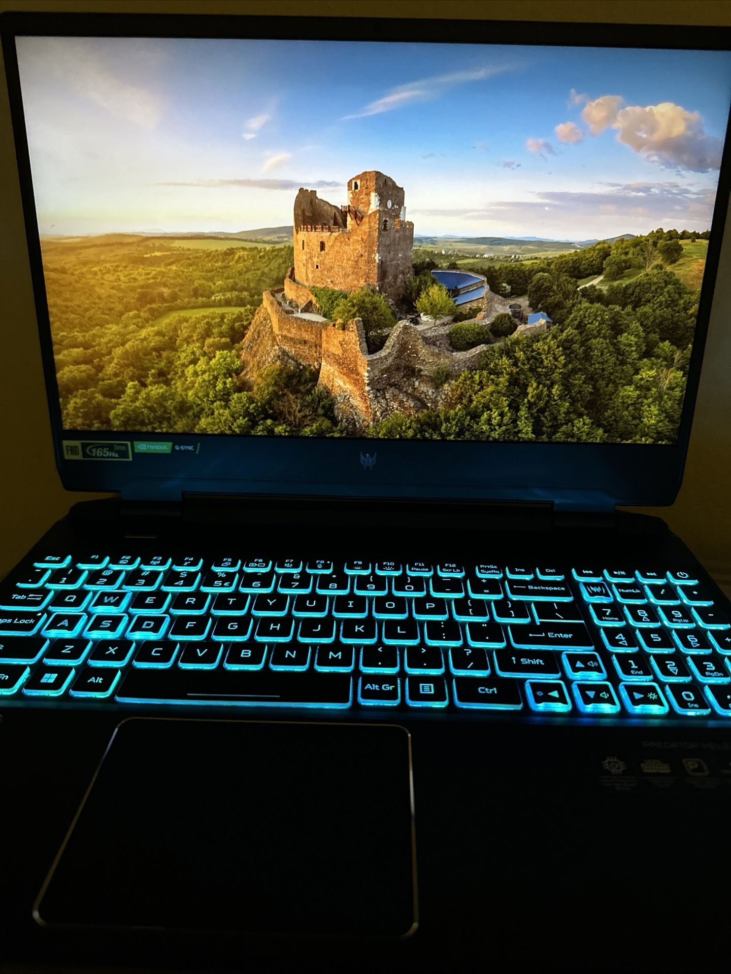Acer Predator Helios 300 (PH315-55) 16GB 512GB SSD i7-12700H GeForce RTX 3060