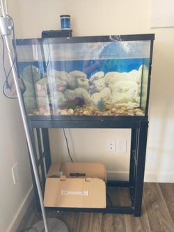 Fish Stand And Tank