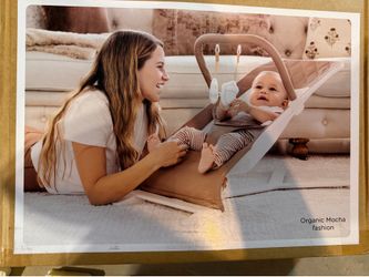 Baby Delight Alpine Deluxe Bouncer