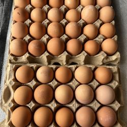 Farm Fresh Eggs $9 For 30 