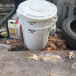 Brute Rubbermaid Bin With Lid