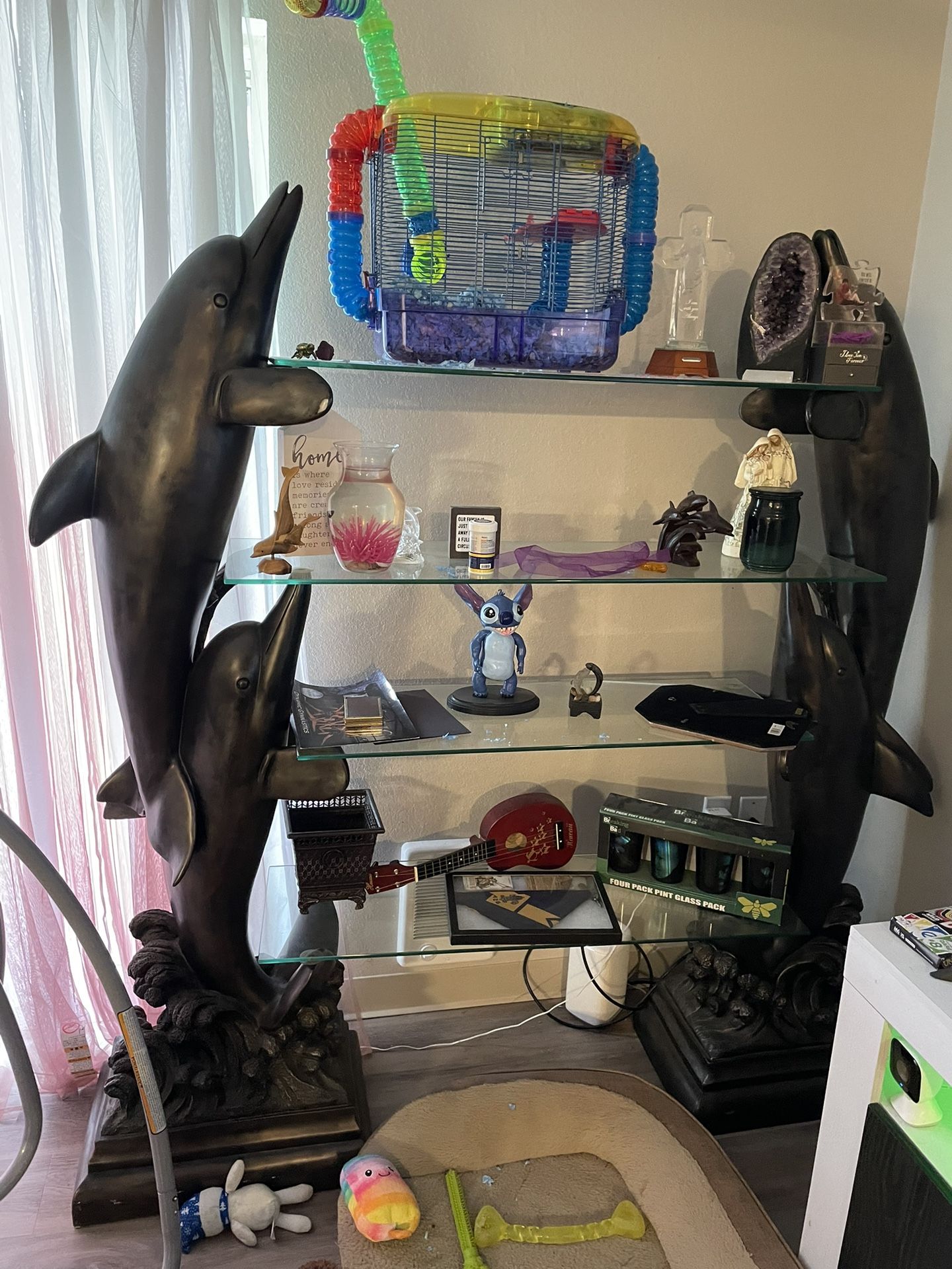 Dolphin Shelf