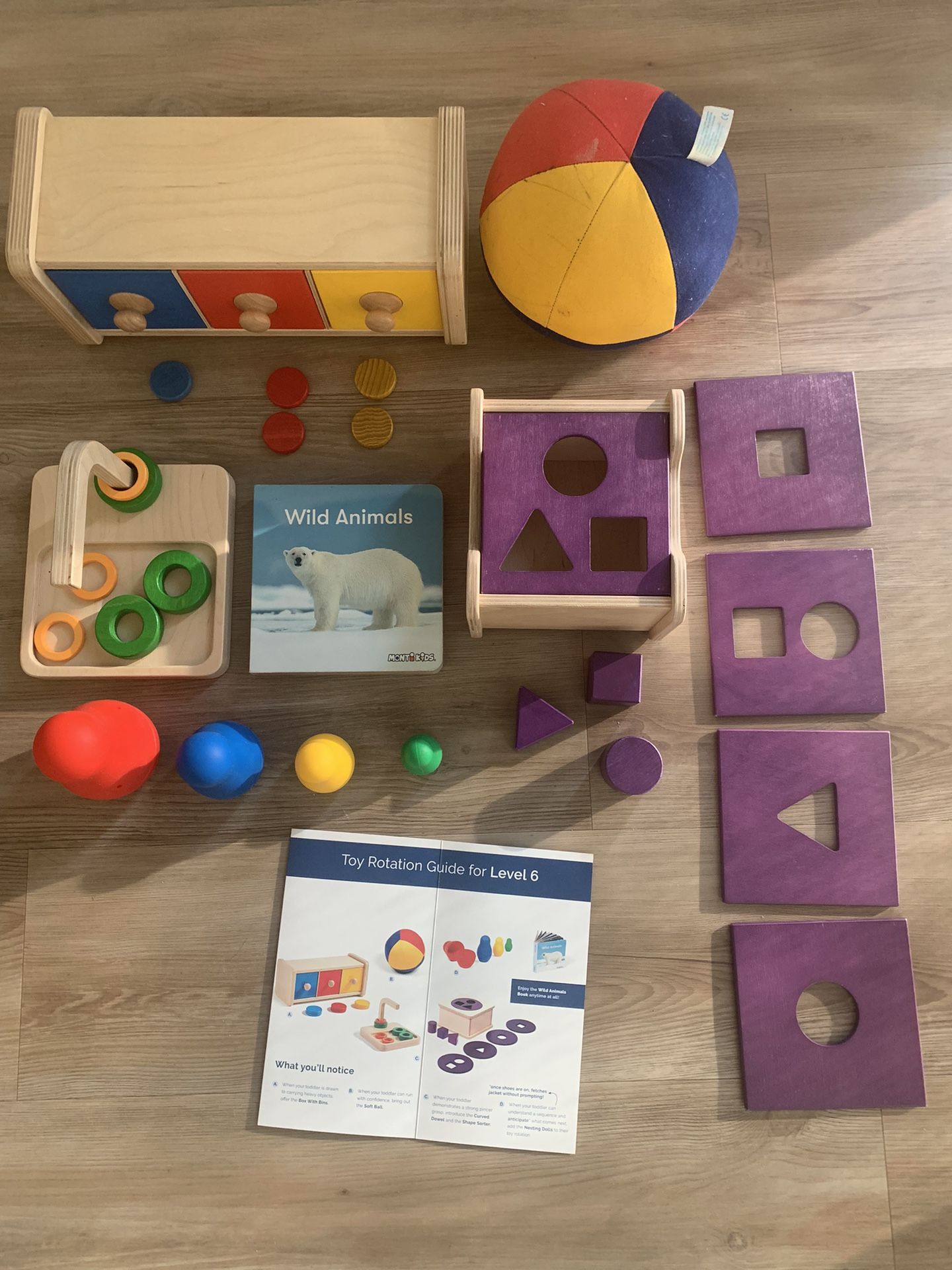 Monti Kids Toys Level 6