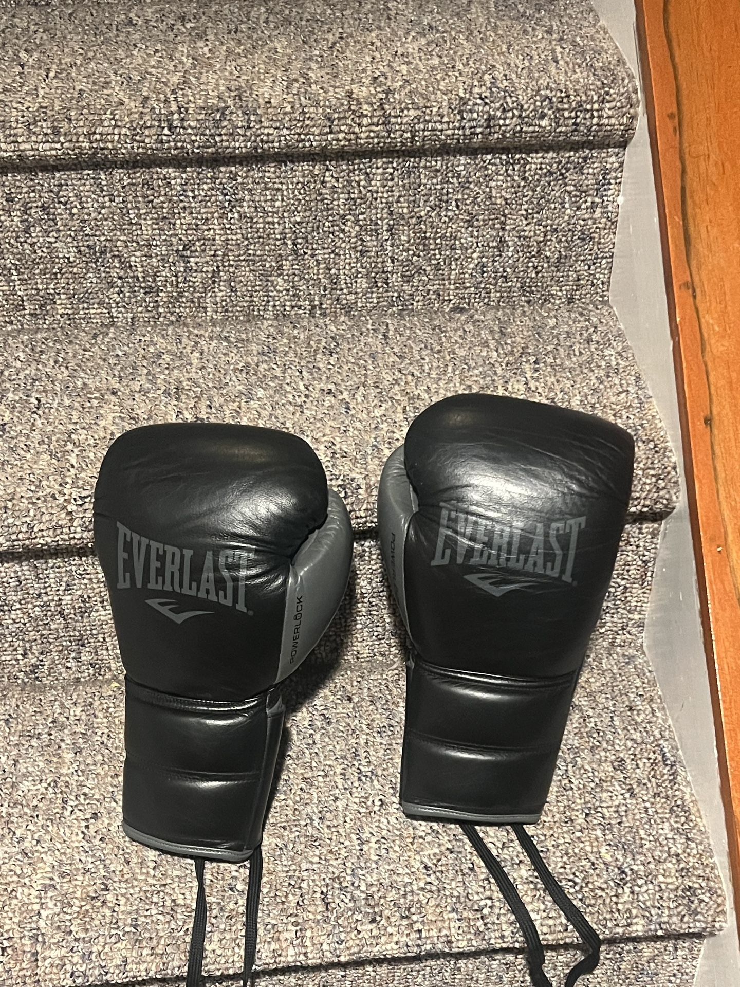 Everlast Boxing Gloves 16 Oz