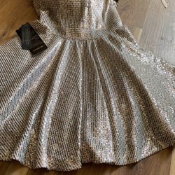  Bebe Sequins Dress