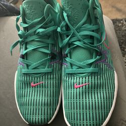 Mens Size 16 LeBron’s Witness 6