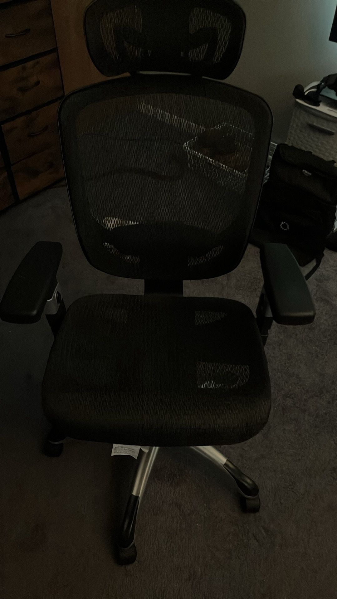 Computer / Gaming Chair
