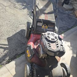 Twice a week GARDENER 