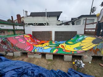 FREE Mini ramp half pipe