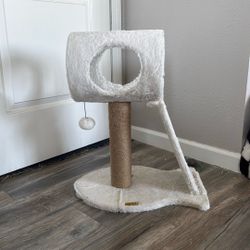 Cat Scratcher