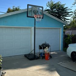 Basket Ball Hoop 