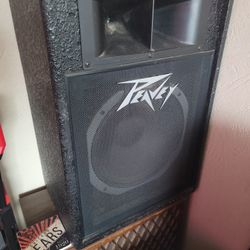 Peavey 112-h Speakers $200 Pickup In Oakdale 