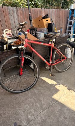 Diamondback Edgewood 8 speed bike