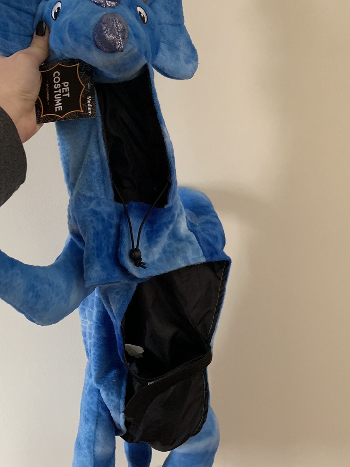 Dinosaur Pet Costume
