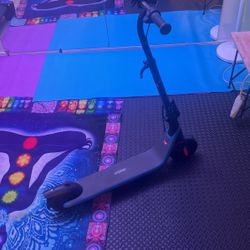Segway Ninebot Electric Scooter