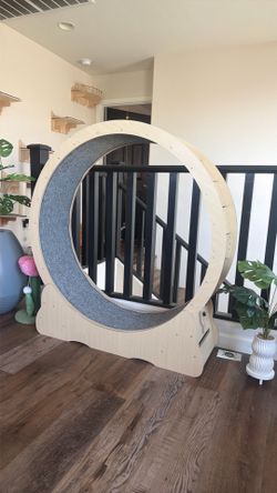 Wooden Cat exercise wheel