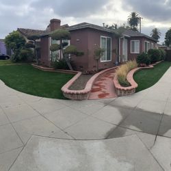 Turf