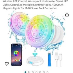 7  Diversity Lights 
