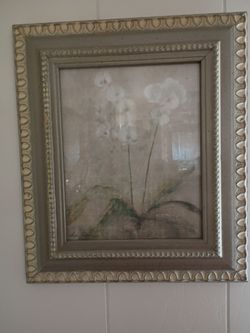 Framed white orchid