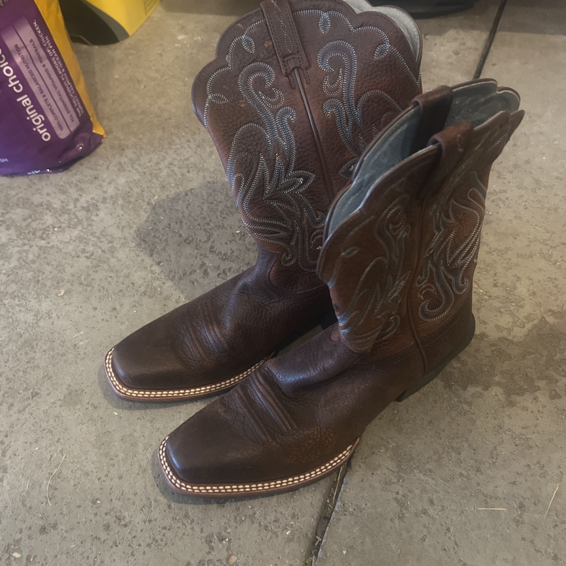 Womens Ariat Boots