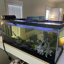 75 Gal Fish tank and Accessories 