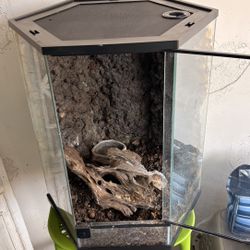 Hexagonal Glass Terrarium For Reptile 