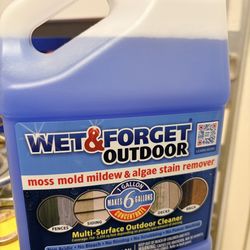 Wet& Forget Outdoor Substance