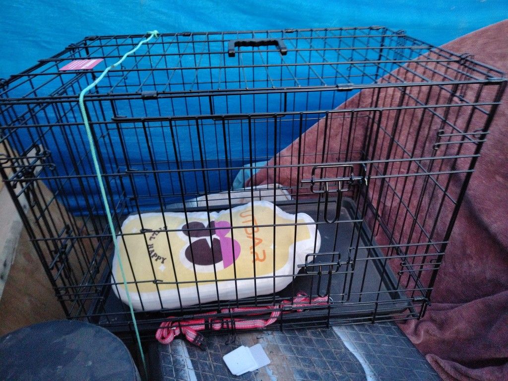 Dog Ketal Like Brand New