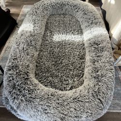 Huge Dog And People Bed