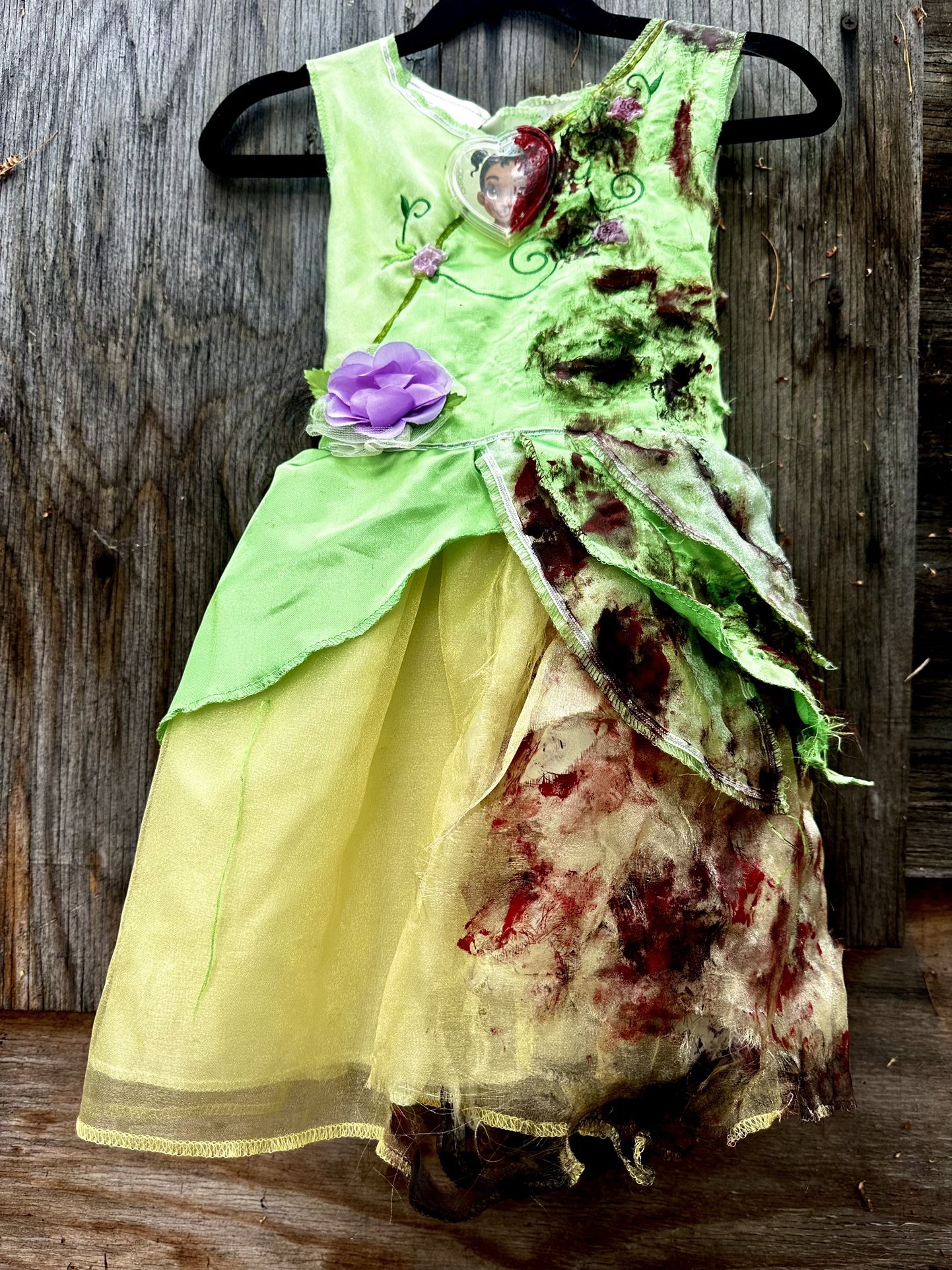 Disney Princess Tiana Half Zombie Costume